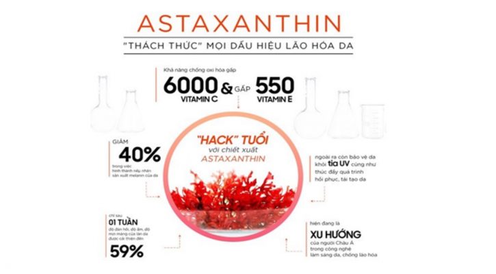 BUỔI TRAO ĐỔI LÀM VIỆC VỚI NHÀ CUNG CẤP ASTA REAL NHẬT BẢN